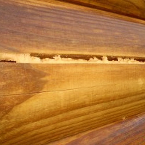maison en bois rond, teinture bille de bois, log home, chalet