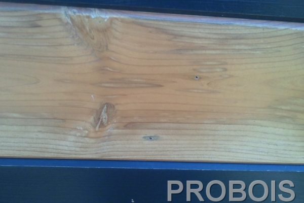 PROBOIS entretien batiment commerciale bois143